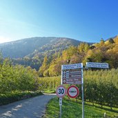 lebenbergerstrasse herbst