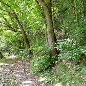 ultener talweg bei tschahaun st pankraz