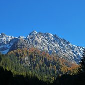 herbst laerchen unter verdinser plattenspitz